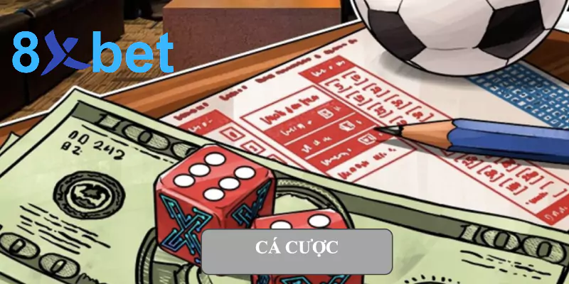 Cá cược - Hướng dẫn chi tiết nhất dành cho người mới bắt đầu 1 Cá cược