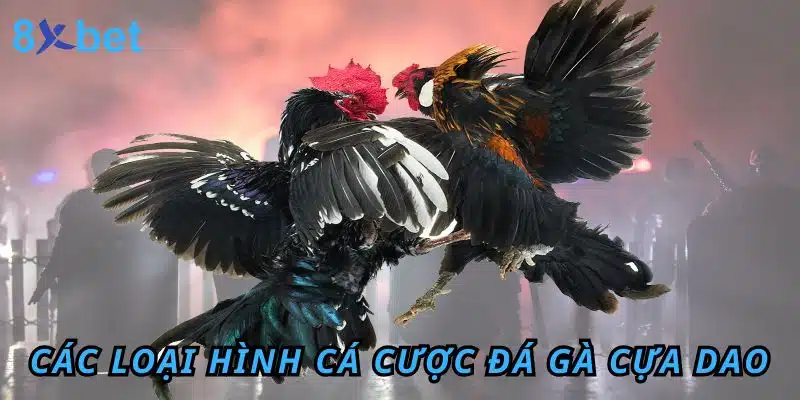 Đá gà Cựa Dao 8xbet: Luật chơi, kinh nghiệm và cách thắng lớn 3 Các loại hình cá cược Đá Gà cựa dao tại 8XBET